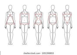There's also quite a few celebrities with inverted triangle body shape in hollywood. Buy The Inverted Triangle Body Shape Cheap Online