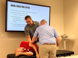 Image result for Musculoskeletal Manipulation