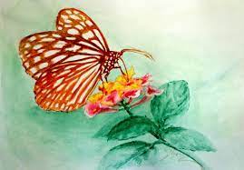Wählen sie ihre nächste destination ! Butterfly On Flower Nature Drawings Pictures Drawings Ideas For Kids Easy And Simple