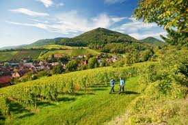 Mit ein wenig kondition ließe sich die radtour durch die eifel an einem tag bewältigen, doch warum? Die Top 5 Sehenswurdigkeiten In Schleiden 2021 Mit Fotos Tripadvisor