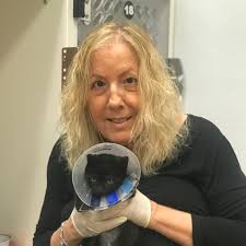 Volunteer Spotlights