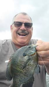 Big MN bluegill from last night I released