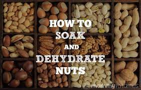 How To Soak And Dehydrate Nuts Nourishing Traditions Method Nourishing Traditions Dehydrator Recipes Real Food Recipes