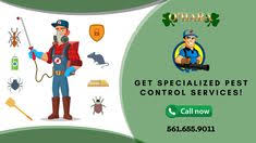 Regardless of whether you are a residential or a business owner located in south florida, in areas like pompano beach, miami, fort lauderdale, or west palm beach, the best pest control company is extending its help. 10 Pest Control Ideas Pest Control Pests Pest Control Services