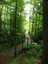 Check spelling or type a new query. Howard Christensen Nature Center Mapio Net