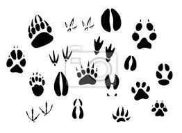 He draws a variety of animals from reference to illustrate his points, and finishes by doing gestural drawings of mice from life. Pin On A Place For The Progeny