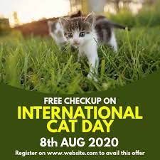Posted on august 8, 2020 by susanne swanson. International Cat Day Vorlage Postermywall