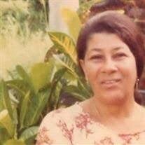 Ms. Nellie V. Carson Obituary