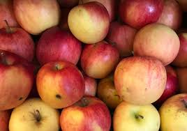 Trouvez des images de stock de pomme de jonage isolée sur blanc en hd et des millions d'autres photos, illustrations et images vectorielles de stock libres de droits dans la collection shutterstock. Pomme Jonagold 1 Kg