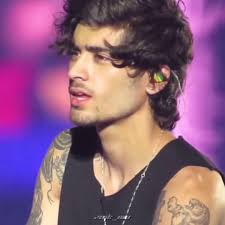 Zayn Malik 2022 One Direction Post