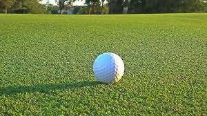 Tifway has short seed stalks that bear heads with light reddish anthers that shed no pollen. Buy Bermuda Grass Seeds Online In India Hyderabad Treekart Com