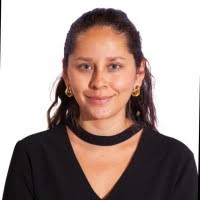 70+ perfiles de «Valdivia Alvarez»