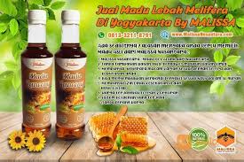 Khasiat madu untuk kecantikan | khasiat madu dan kayu manis. Khasiat Madu Klanceng Untuk Pria Eksiklopedia Galeri Madumadupedia