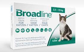 Dann dauert es in der regel jedoch mehrere wochen bis aus den eiern, mit denen sich die katze infiziert hat, wieder geschlechtsreife würmer geworden sind. Breite Entwurmung Bei Katzen Auch Gegen Feline Lungenwurmer Vet Magazin De