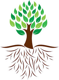 World's simplest online utility that creates transparent pngs. Download Nature Tree Clipart With Roots Png Image With No Background Pngkey Com
