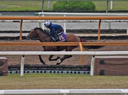 リヴァイ・アッカーマン (levi ackermann)は進撃の巨人に登場する架空の人物。 調査兵団の兵士長。人類最強の兵士として知られ、その実力は1人で1個旅団並の戦力とも噂される。 冷徹かつ無愛想。現実主義で口調も辛辣。 Mndmntn8mslxfm