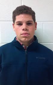 2015 MLive Ann Arbor News Football Dream Team: The Offense