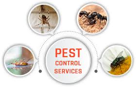 Find a pest control company: Pest Control Service Providers In Hyderabad Pest Control Of Hyderabad
