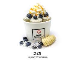 Gil grobe, who hails from hamburg, has made a name for himself with unusual ice cream rolls. Ice Cream Rolls By Sweet Charlie S Rolled Ice Cream In Usa