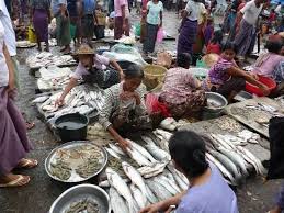 Https Media Cdn Tripadvisor Com Media Photo S 02 Fa 0e 24 Fish Market Jpg The Fish Market Trip Advisor Sittwe