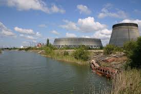 The chernobyl nuclear accident is one of the major disasters in the history of nuclear power which had many serious effects on humans and the environment. Chernobyl At Thirty A Special Edition Environment And Health Roundtable Edge Effects