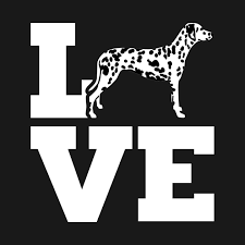 dalmatian love