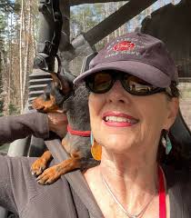 Little Foot's summer adventures continue