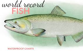 World Record Fish Waterproof Charts