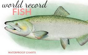 world record fish waterproof charts