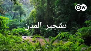 ‫غابة‬‎ ile ilgili görsel sonucu