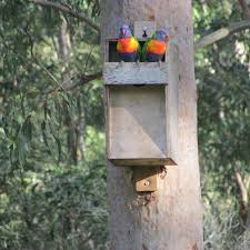 Nest Boxes Australia Preserving Our Native Wildlife