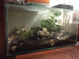 Fluval Edge Terrarium To Be Used For Vampire Crabs If I Ever Find Some Reptile Terrarium Vivarium Terrarium