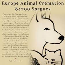 Check spelling or type a new query. Animalis Animalerie Centre Cial Avignon Nord 84700 Sorgues Adresse Horaire
