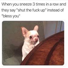 Yes Get That Shit Under Control One Sneeze Bless You The Rest Is Up To You Really Funny Memes Funny Relatable Memes Funny Memes