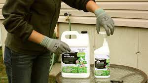 Voici comment enlever la mousse d'une pelouse. Bioprotec Herbicide Pelouse Pour Trefle Instructions Youtube