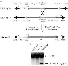 Image result for White 1997 AAV