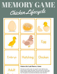 The Chicken Life Cycle Memory Game Primarylearning Org Chicken Life Cycle Life Cycles Free Homeschool Resources