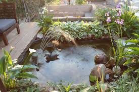 Image result for garden pond ideas