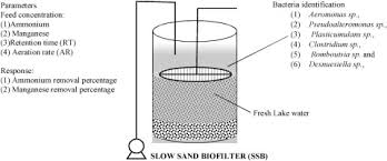 Salam,bilakah second intake uitm 2016?adakah perlu membeli no.pin utk permohonan? Simultaneous Removal Of Ammonium And Manganese In Slow Sand Biofilter Ssb By Naturally Grown Bacteria From Lake Water And Its Diverse Microbial Community Sciencedirect