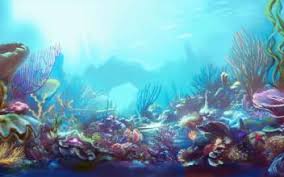 Cakhia1.tv truc tiep bong da hom nay. Tructiepk Soi Keo Bong Ä'a Y