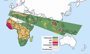 The mutant alleles are subdivided into two groups: Hemoglobin Variants Wikipedia
