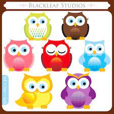Pin On Owls