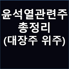 빨간불의 종목분석 서연 윤석열 테마주다 윤석열 정계 진출하나. ìœ¤ì„ì—´ ê´€ë ¨ì£¼ ëŒ€ìž¥ì£¼ ì´ì •ë¦¬