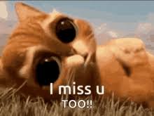 Just check out the sad but touching quotes we found for you. Miss You Too Gifs Tenor