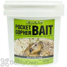 Live trapping involves attracting squirrels to a trap with food (bait). Kaput D Pocket Gopher Bait