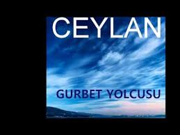 Ceylan Gozu Surmeli Youtube