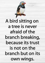 Bird Sitting On Branch Quote A Bird Sitting On A Tree Is Never Afraid Of The Branch Breaking Because Its Trust Isn T Business Inspiration Quotes Good Life Quotes Life Quotes Relationships