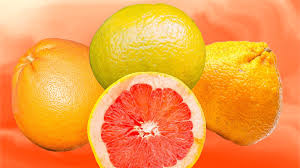 Image result for Grapefruit