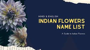 We did not find results for: Flowers Name In Hindi à¤« à¤² à¤• à¤¨ à¤® à¤¹ à¤¦ à¤®