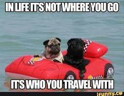 35 Funny Travel Memes You Will Easily Relate To Inspirationfeed